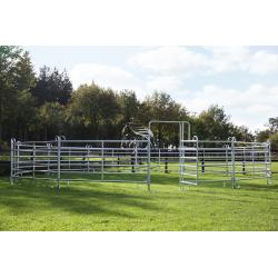 Veld Omheiningen, Longeercirkel, Omheining, Texas panelen