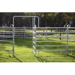 Veld Omheiningen, Longeercirkel, Omheining, Texas panelen