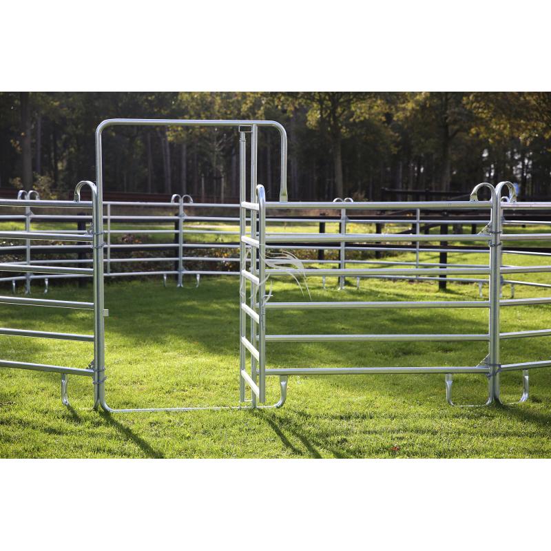 Veld Omheiningen, Longeercirkel, Omheining, Texas panelen