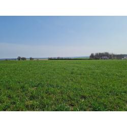 HAUT-FAYS: Bouwgrond, 10a01ca – VAS1323B