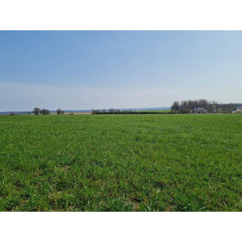 HAUT-FAYS: Bouwgrond, 10a01ca – VAS1323B