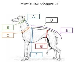 Warm jasje voor een windhond - whippet