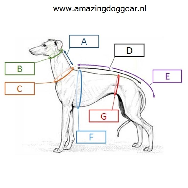 Warm jasje voor een windhond - whippet