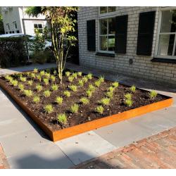 Cortenstaal bloembak / plantenbak