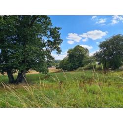 MAISSIN: zeer mooi gelegen bouwgrond, 51a 42ca – VAS1332C