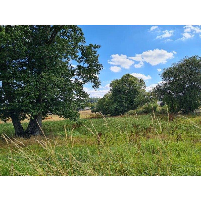 MAISSIN: zeer mooi gelegen bouwgrond, 51a 42ca – VAS1332C