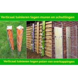 Beplanting langs staanders van een overkapping leiden.