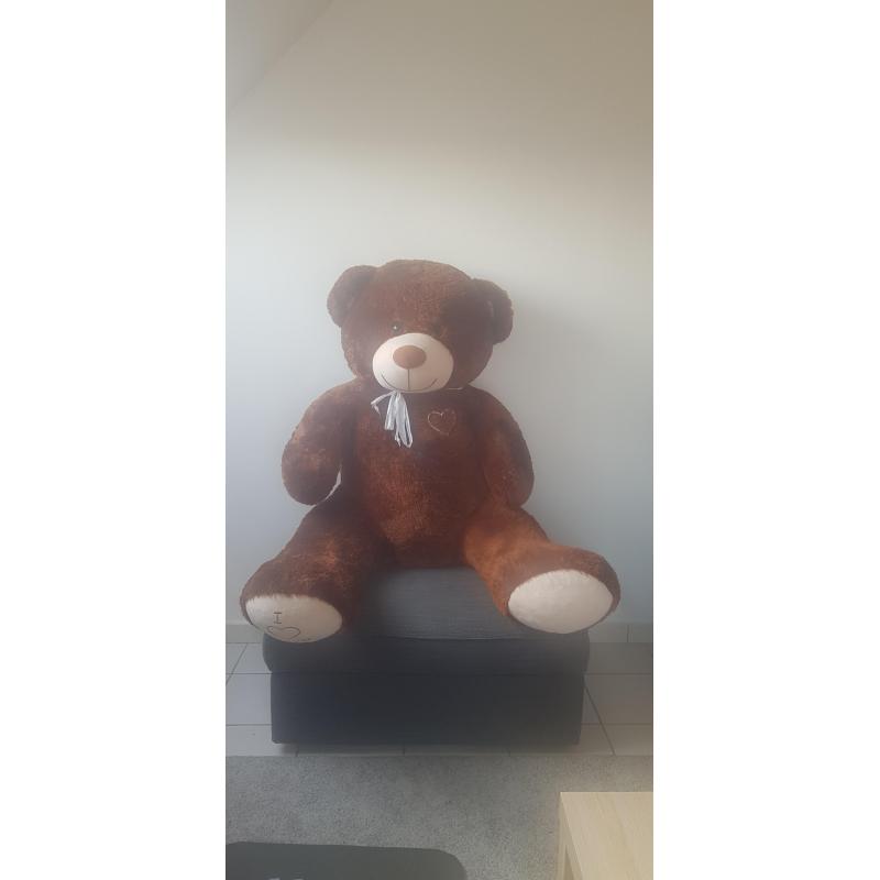 XXL KNUFFELBEER 1.50m