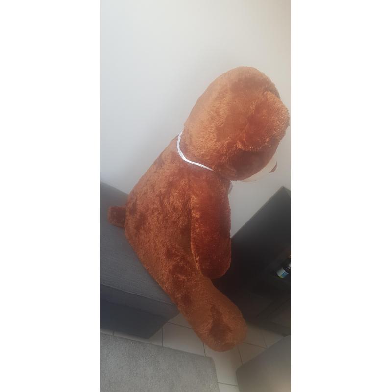 XXL KNUFFELBEER 1.50m