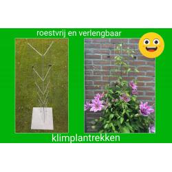 Beplanting langs staanders van een overkapping leiden.