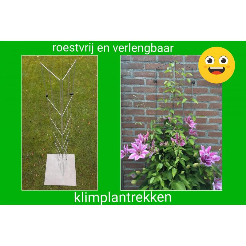 Beplanting langs staanders van een overkapping leiden.