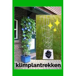 Beplanting langs staanders van een overkapping leiden.