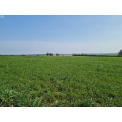 HAUT-FAYS: Bouwgrond, 10a01ca – VAS1323B
