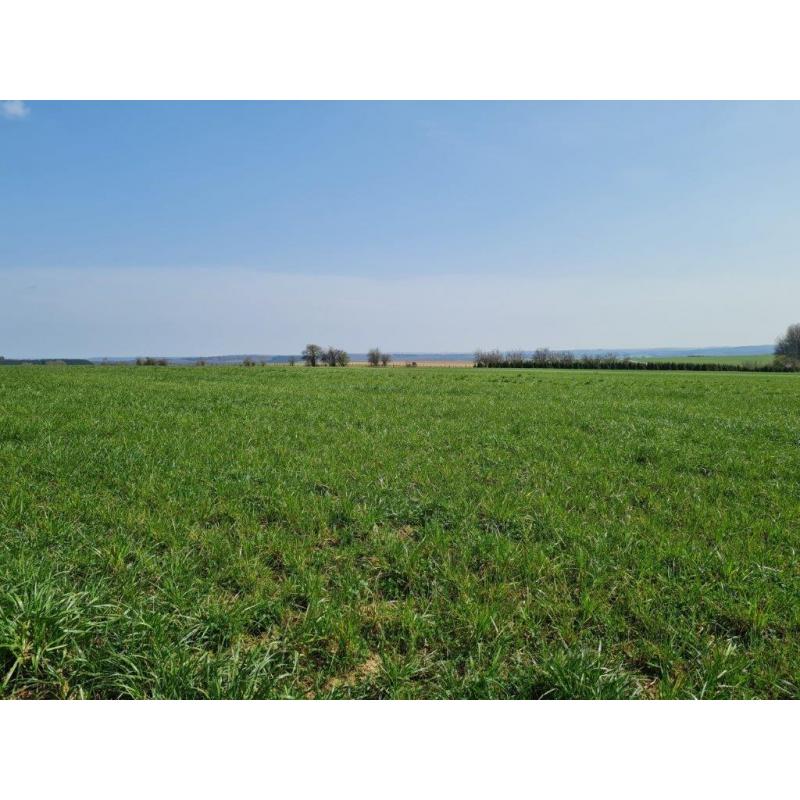HAUT-FAYS: Bouwgrond, 10a01ca – VAS1323B