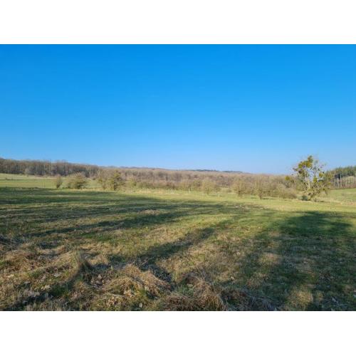 PALENGE: bouwgrond 11a 16ca – VAS1294B