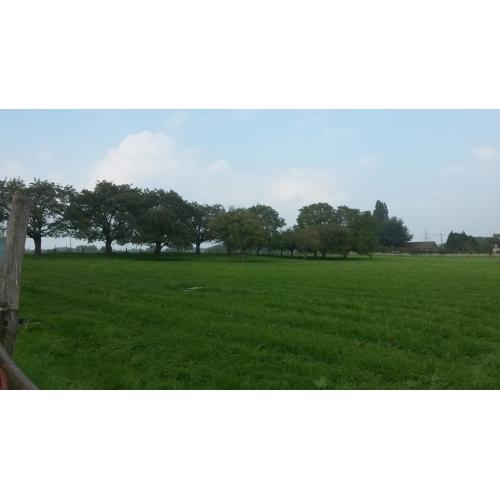 Paardenwei 1,84 ha - Lennik - stal/water/schrikdraad