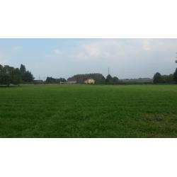 Paardenwei 1,84 ha - Lennik - stal/water/schrikdraad