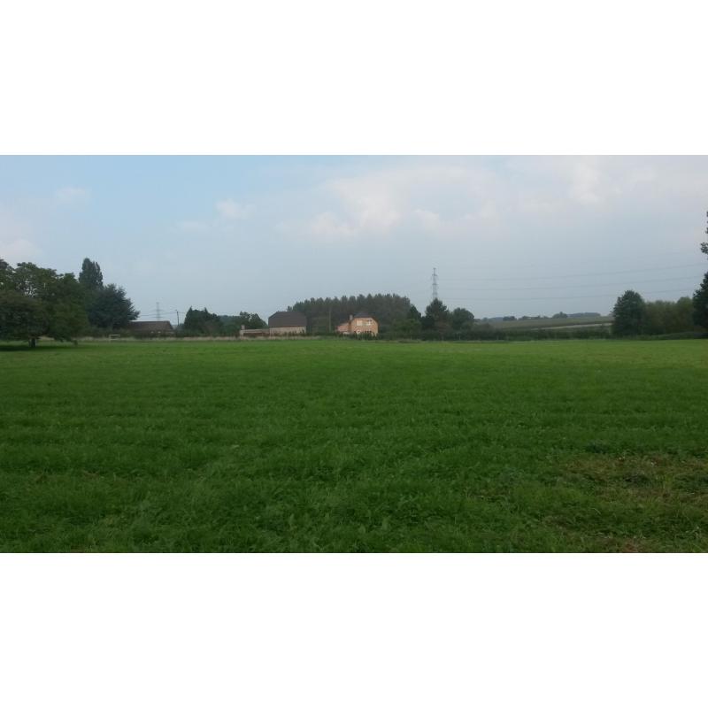 Paardenwei 1,84 ha - Lennik - stal/water/schrikdraad
