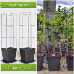 KLIMPLANTENSTEUNEN