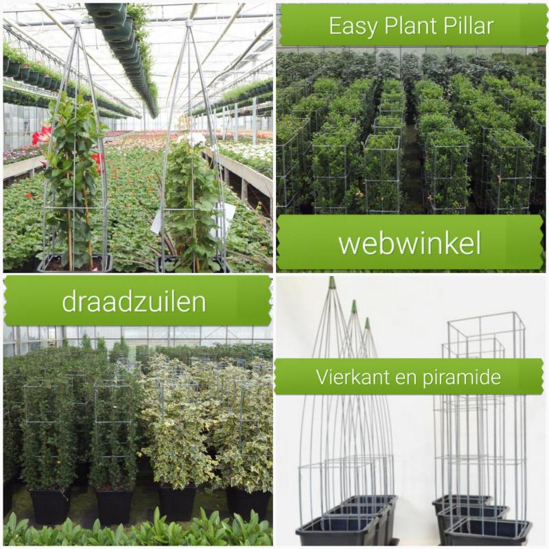 KLIMPLANTENSTEUNEN
