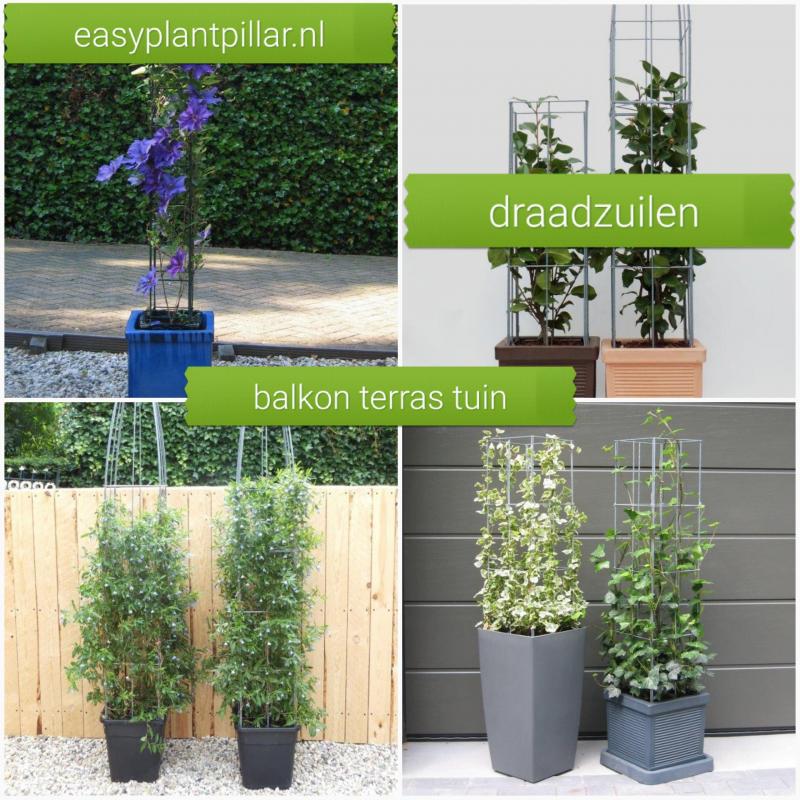 KLIMPLANTENSTEUNEN