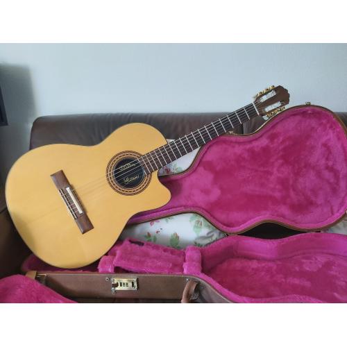 Gibson Chet Atkins ce
