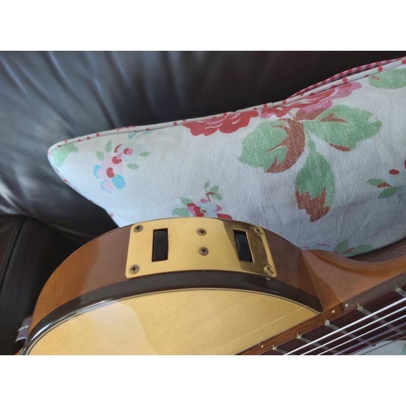 Gibson Chet Atkins ce