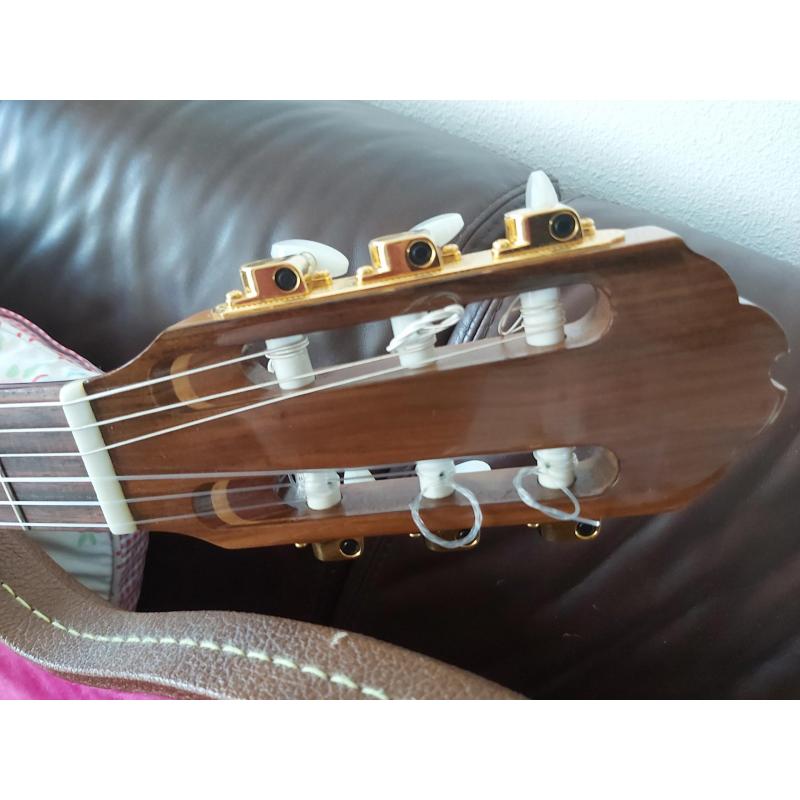 Gibson Chet Atkins ce