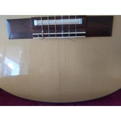 Gibson Chet Atkins ce