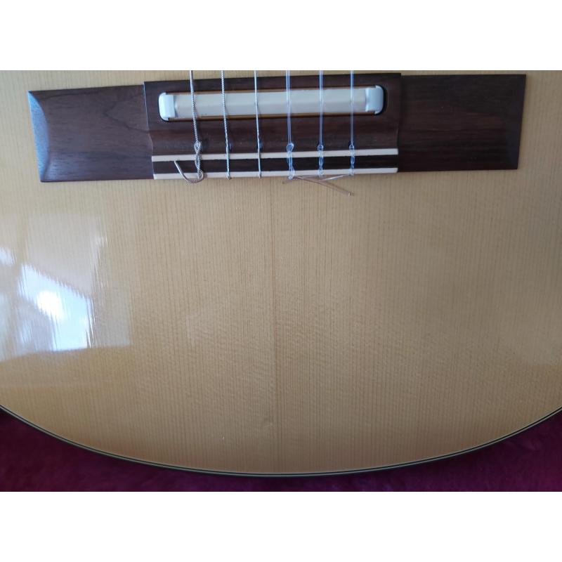 Gibson Chet Atkins ce