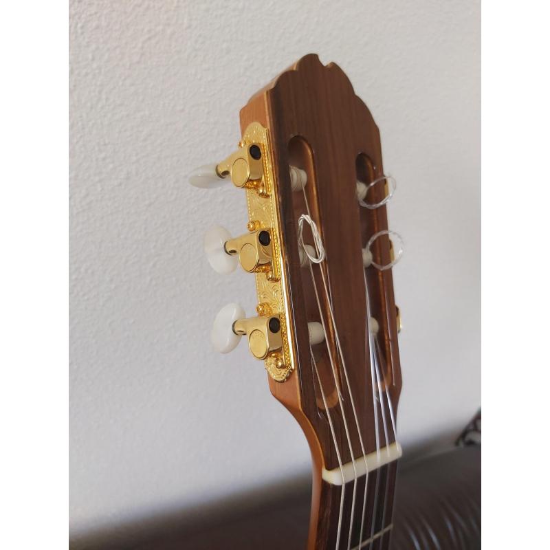 Gibson Chet Atkins ce