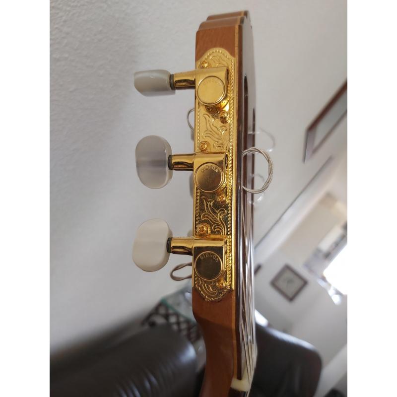 Gibson Chet Atkins ce