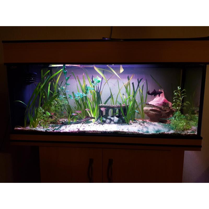 aquarium