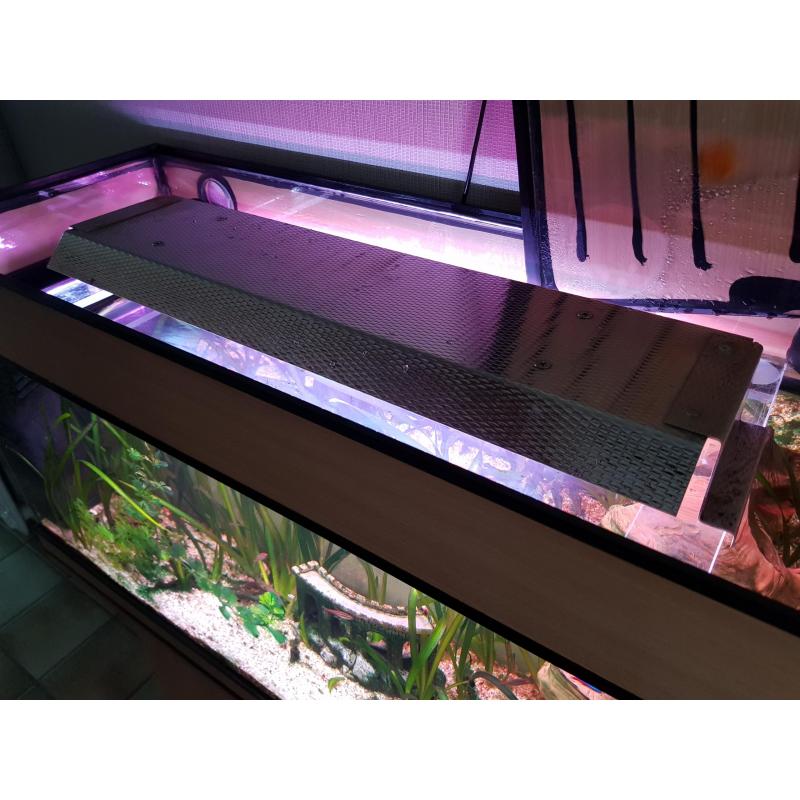 aquarium