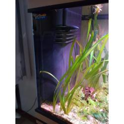 aquarium