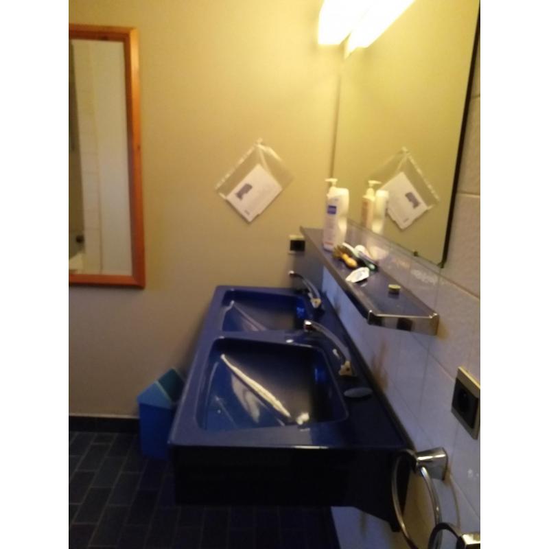 Retro stalen dubbele lavabo