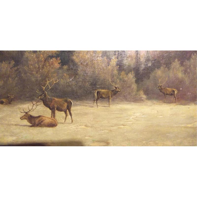 C. Raffel