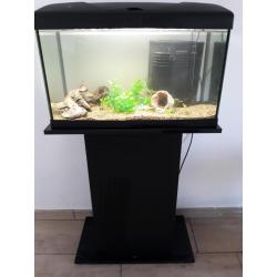 Aquarium 60 liter met meubel