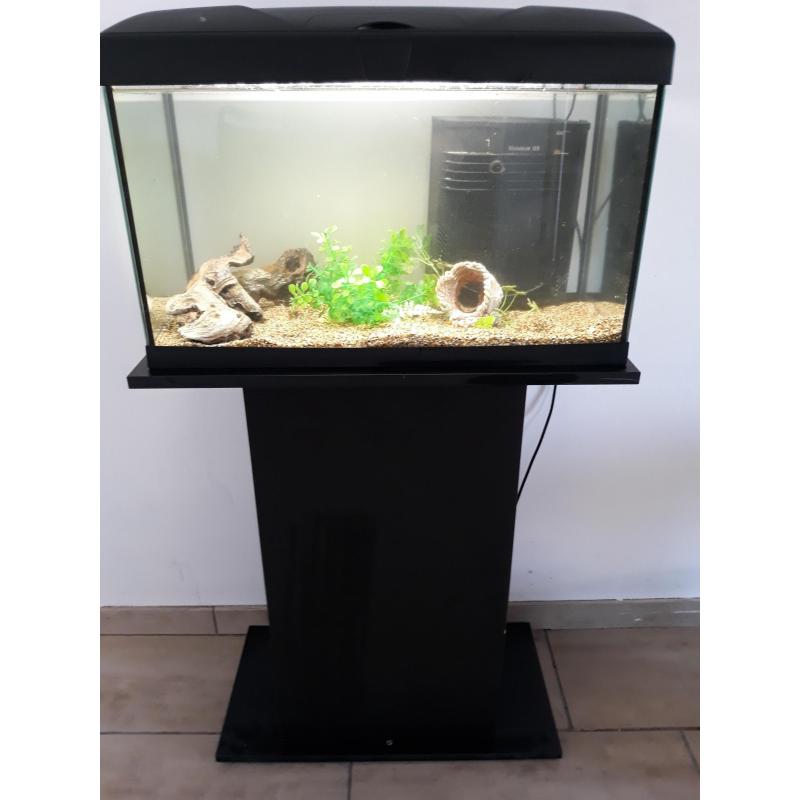 Aquarium 60 liter met meubel