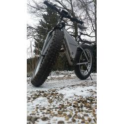 E-bike Fatbike