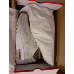 Nike Air Max 1 'White Asparagus'