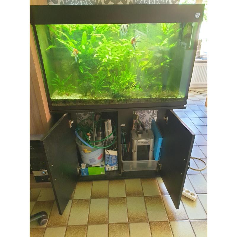Te koop overcompleet zoetwateraquarium tropisch