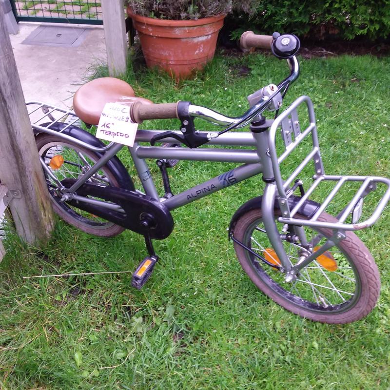 ALPINA CARGO TRANSPORT KIDS 16"GRIJS