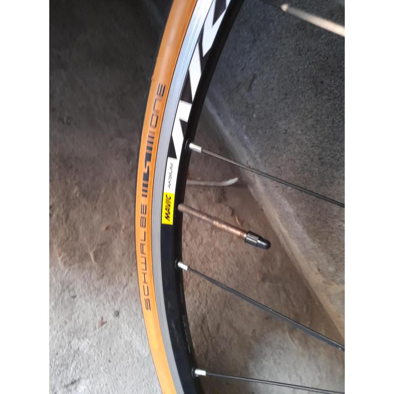Mooie carbon Ridley