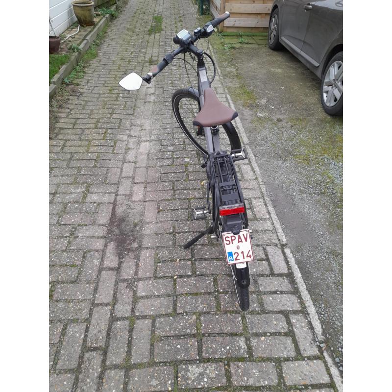 Speedpedelec: gazelle cityzenspeed 380