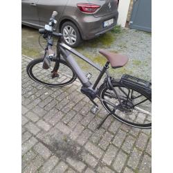 Speedpedelec: gazelle cityzenspeed 380