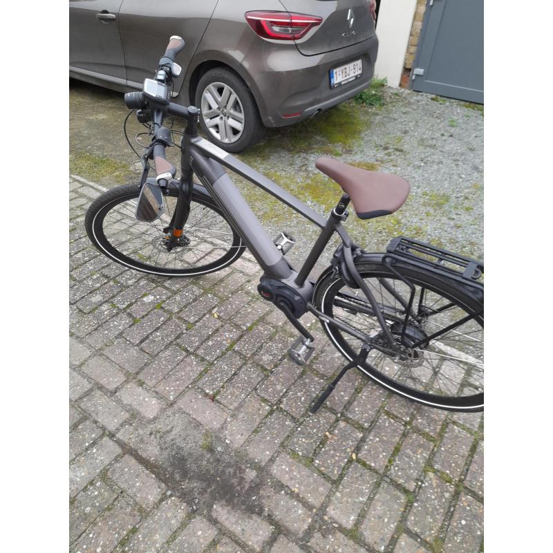 Speedpedelec: gazelle cityzenspeed 380