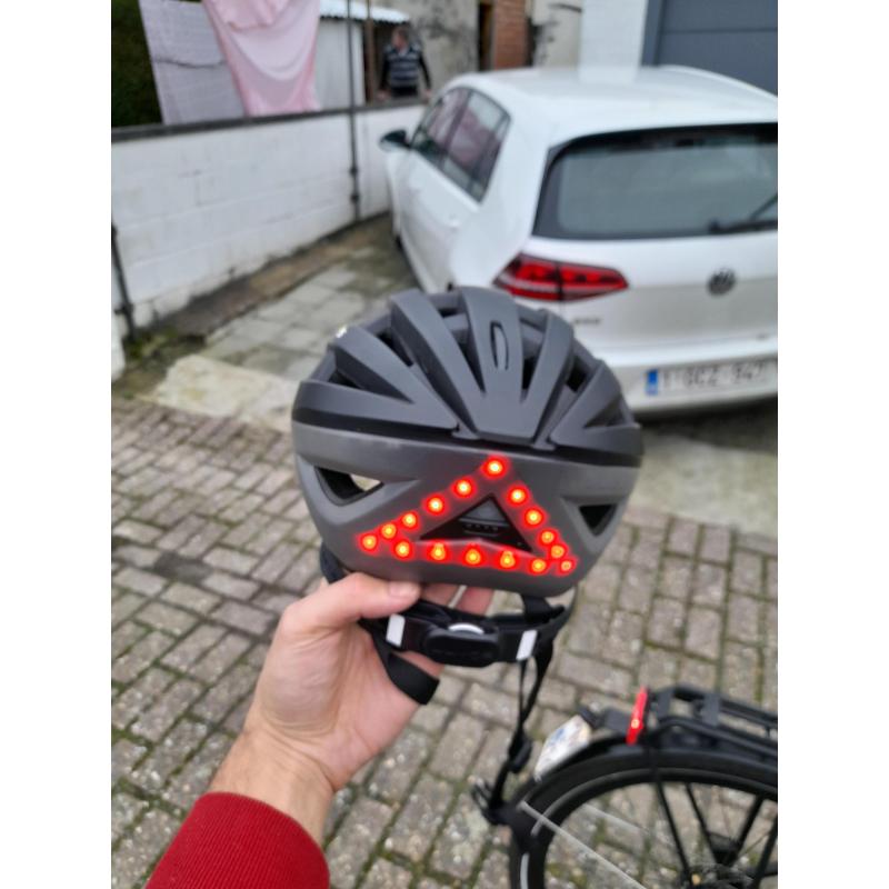 Speedpedelec: gazelle cityzenspeed 380