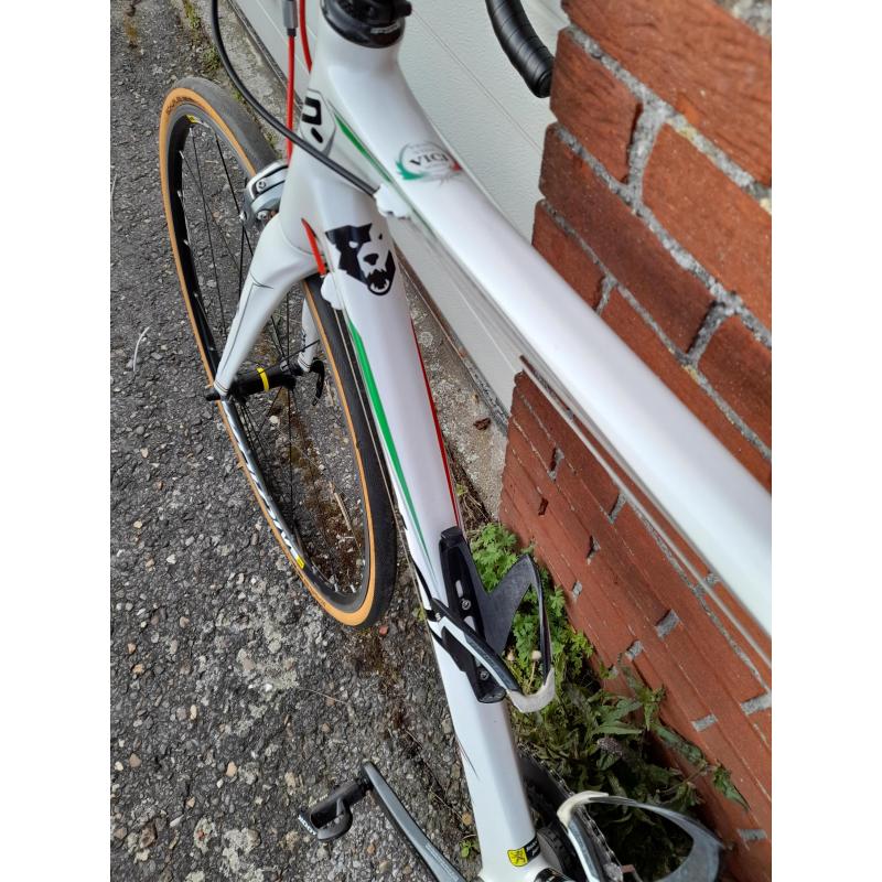 Mooie carbon Ridley