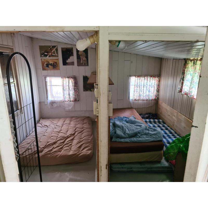 Chalet te koop, Parelstrand Lommel. In het bos.